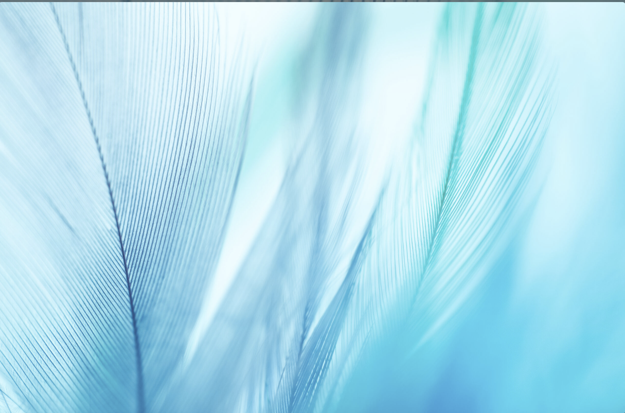 Snímek obrazovky 2026-02-11 092330